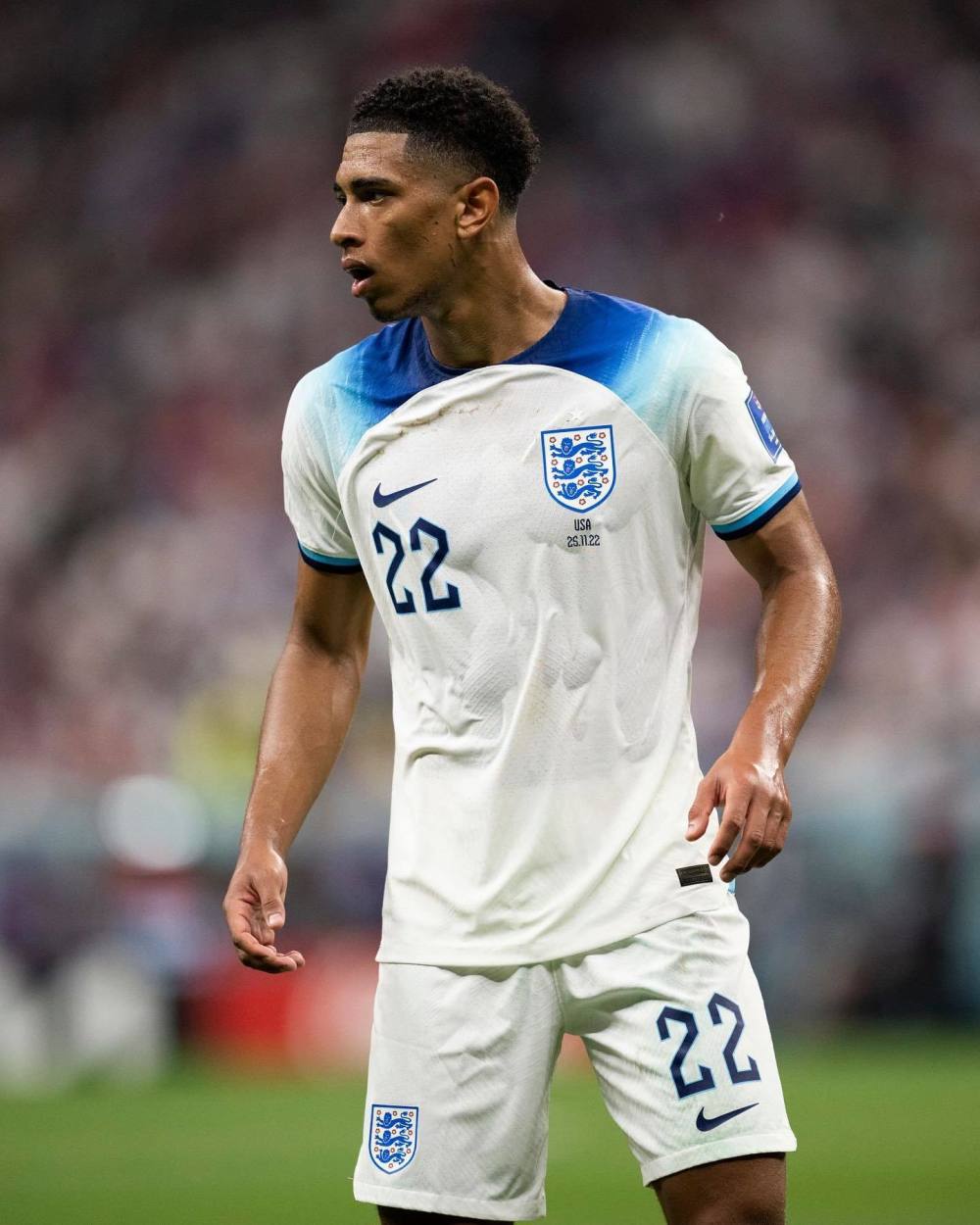 全周期的绿 全周期的绿